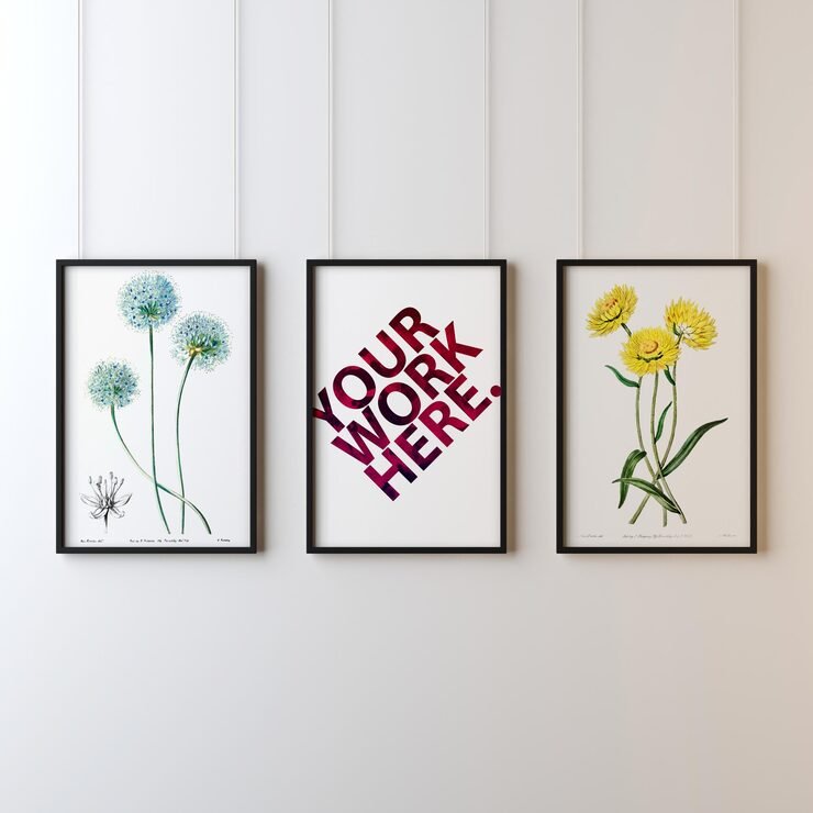 Framed Posters